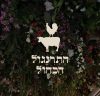 ארטיום